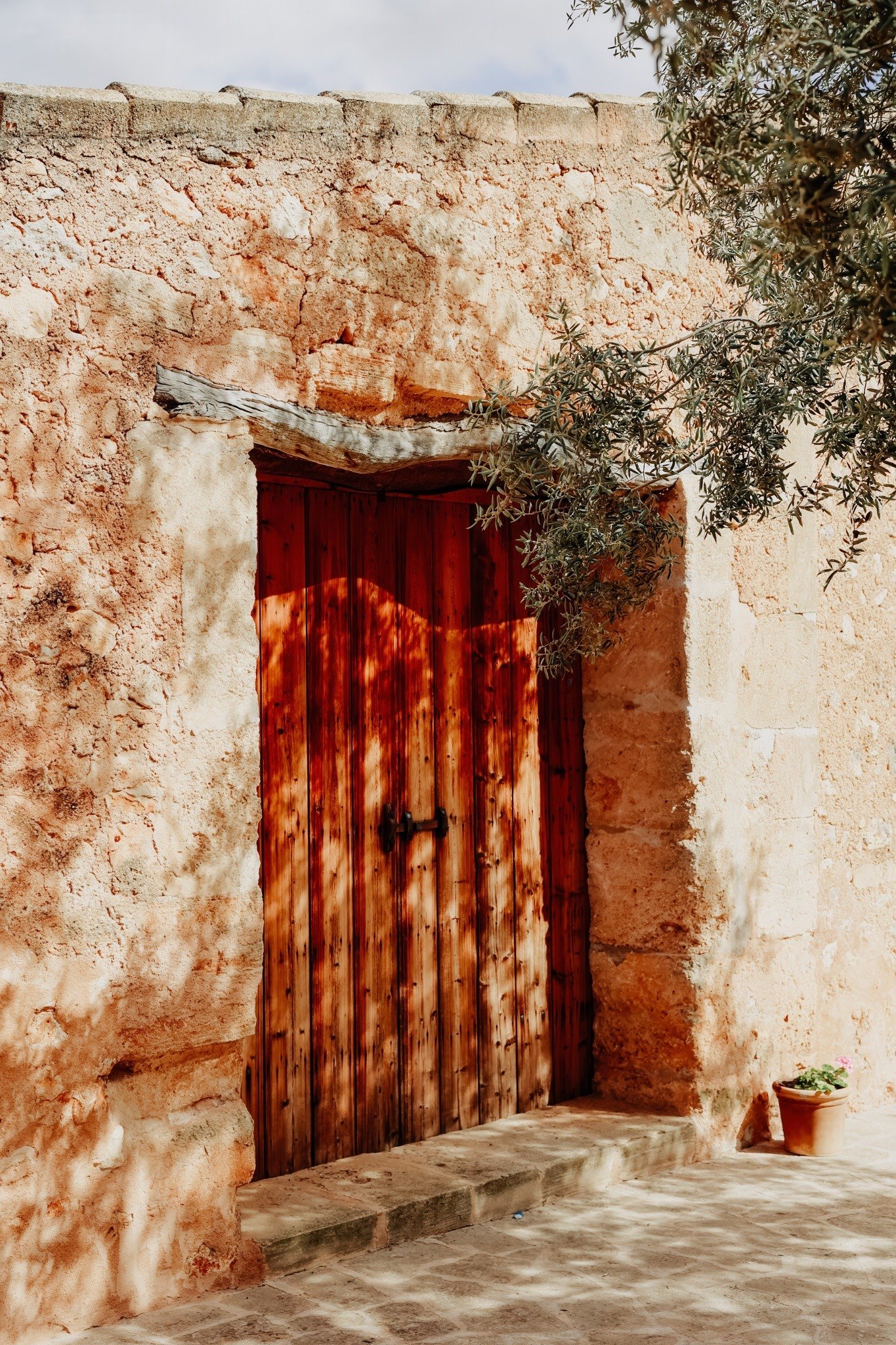 Traditional Mallorcan stone doorway beneath an olive tree